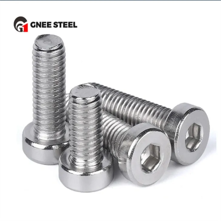 SS201 SS304 SS316 inbus vijaki z nizko glavo